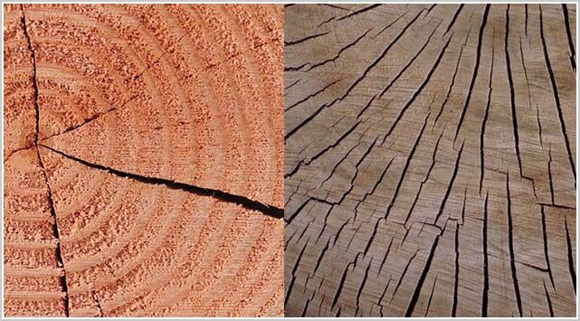 木材防裂剂供应商永特耐木工胶 介绍几种常见木材防裂方法（一）