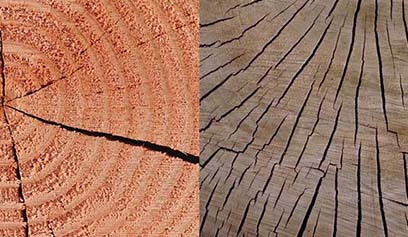 木材端头封闭剂供应商永特耐木工胶 介绍几种常见木材防裂方法（二）