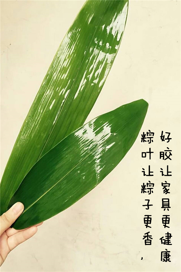 永特耐端午