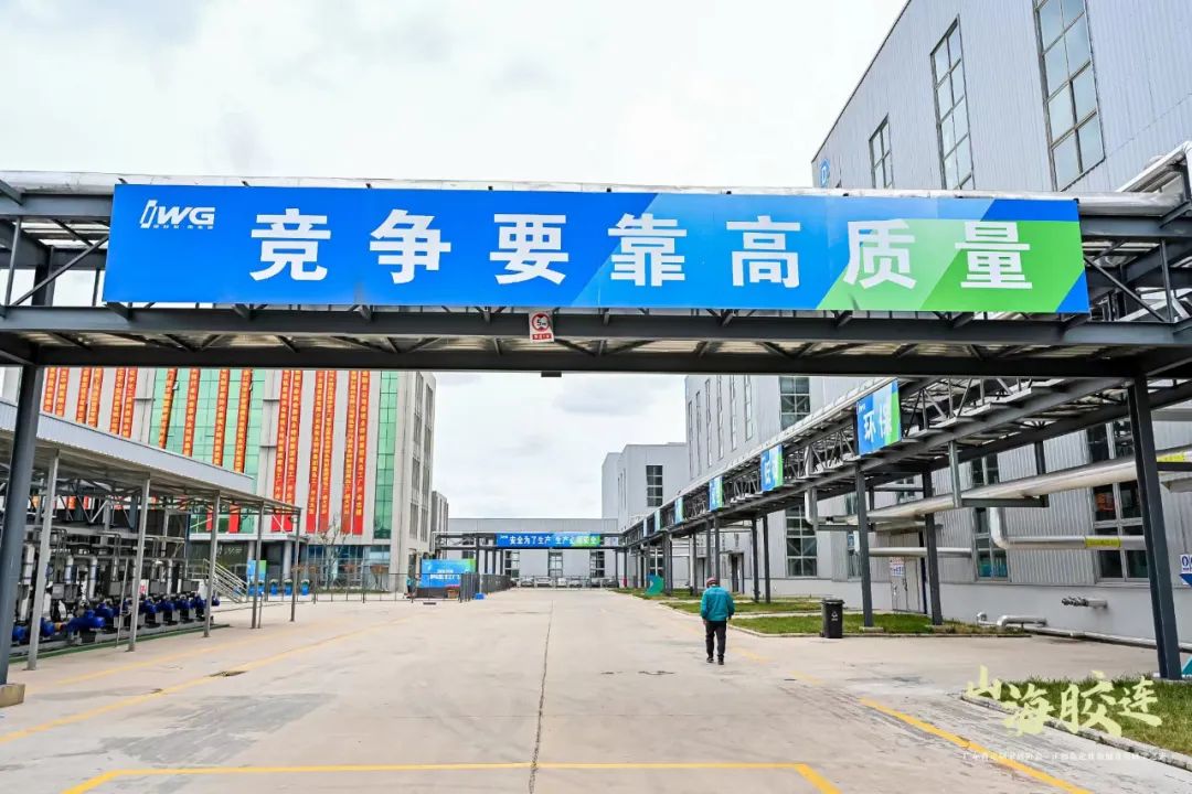 “山海胶连--企业领袖青岛研学之旅”启幕，IWG永特耐创新战略及智慧协同工厂盛大发布!